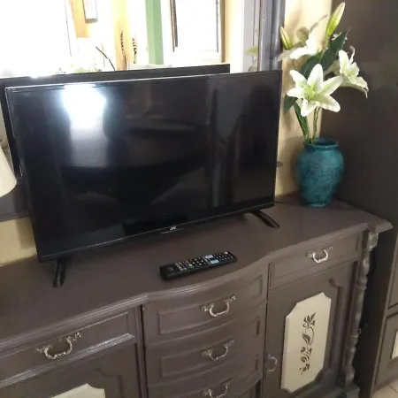 Anthi * PalaiónTsiflíkion